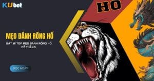 Top mẹo đánh Rồng Hổ thành công tại nhà cái Kubet